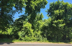 10 & 6 CARTER Road, PRINCETON, NJ 08540