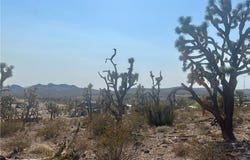 328-04-263 MARIPOSA Drive, Dolan Springs, AZ 86441