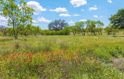 8548 County Road 332, Blanket, TX 76432