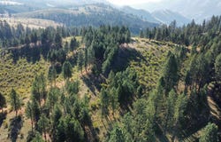 Pardee Road, Kamiah, ID 83536