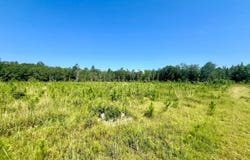 Wayside Road, Atmore, AL 36502