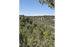 J8 Road, Mancos, CO 81328