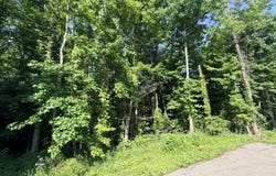 Dogwood Ave, Oneida, TN 37841