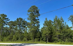 Lee Rogers Road, Hubert, NC 28539