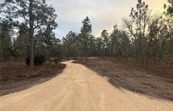 SE 4TH Street, WILLISTON, FL 32696