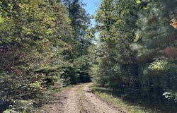 Co Rd 3034, Double Springs, AL 35553