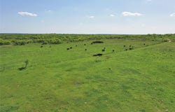 FM 175 Tract #1, Jacksboro, TX 76365