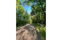 Chippewa Trail, Luck, WI 54853