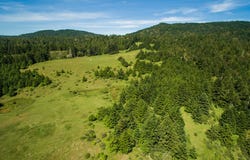 16401 S Highway 1, Manchester, CA 95459