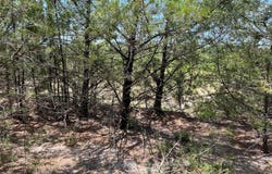 11AC Pilot Grove Road, Whitewright, TX 75491