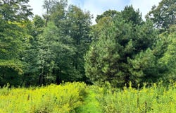 1.6 Brigham Rd, Richford, NY 13835