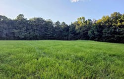HWY 63, Rison, AR 71665