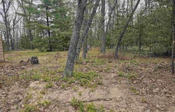 v/l Morawa Trail, Hale, MI 48739