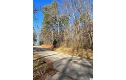 208 OAK FOREST DRIVE lot: 1, BIRMINGHAM, AL 35217