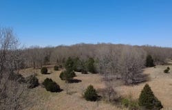 402 Rd, Lafe, AR 72436