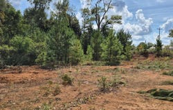 W Front Street, Evergreen, AL 36401
