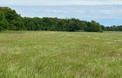 County Road 1625N, Cisne, IL 62823