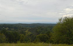 Cozahome RD, Harriet, AR 72639