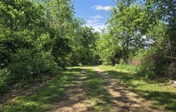 14008 Airport Road, Cabool, MO 65689