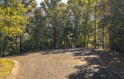 Abbott Mill lot: 22, Ellijay, GA 30540