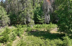 3877 LAKESHORE DR, Rhinelander, WI 54501