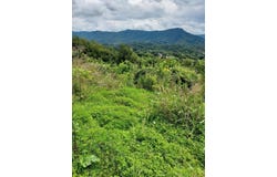 Champion Street lot: 0, Cedar Bluff, VA 24609
