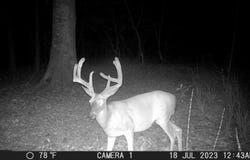 PR 8263, Broaddus, TX 75929