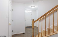 3638 SINGLETON Terrace, FREDERICK, MD 21704