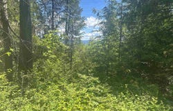 N Foster Ln, Cusick, WA 99180