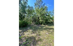 NE Willstone Way, Steinhatchee, FL 32359
