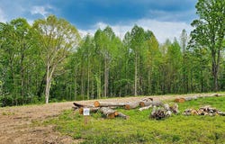 .88 Acre County Road 825, Scottsboro, AL 35768