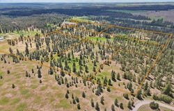 NKA Malloy Prairie Rd, Cheney, WA 99004