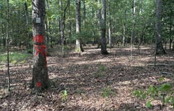 W 16th St., Smackover, AR 71762