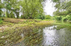 7135 Hwy 124, Quitman, AR 72131