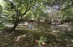 Slick Rock Rd, Eolia, KY 40826