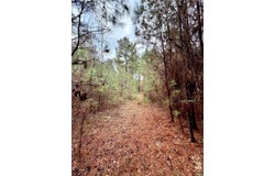Hicks Road lot: 5A, Benton, LA 71006