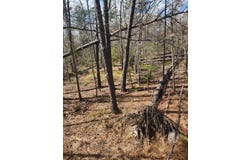 47 River Trails, Naylor, GA 31641