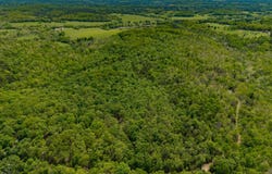 000 Private Rd, Drury, MO 65638