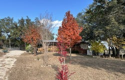 3187 County Road 361, Utopia, TX 78884
