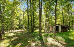 3508 Left Fork Road, Lucasville, OH 45648