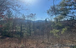 7889 Old Highway 16, Crumpler, NC 28617