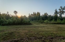 254 Putnam Rd, Pickens, MS 39146
