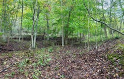 Clarkson Road, Spencer, WV 25276
