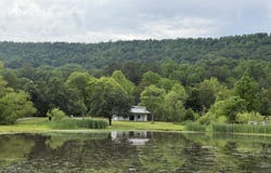 1483 Reagan Valley Rd, Tellico Plains, TN 37385