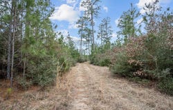 9422 FM 62, Corrigan, TX 75939