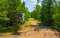 Taylor Road, Musella, GA 31066