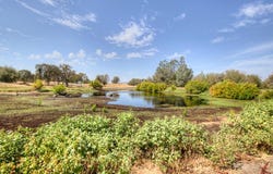 29836 Thunderbird Lane, Prather, CA 93651