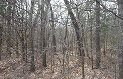 Whispering Oaks Road, Tecumseh, OK 74873