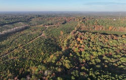 Mabelvale, AR 72103