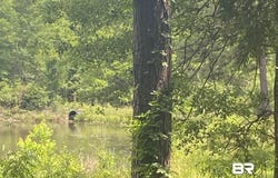 Bear Fork Road, Mobile, AL 36618